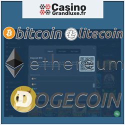 methodes-paiement-acceptees-cryptoleo-casino